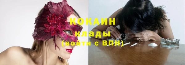 прущие грибы Балахна