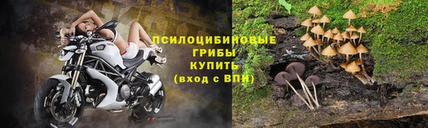 эйфоретик Белокуриха