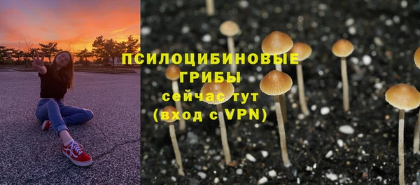 ECSTASY Беломорск