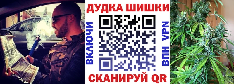 Бошки марихуана THC 21% Великий Устюг